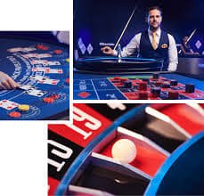 456bet444